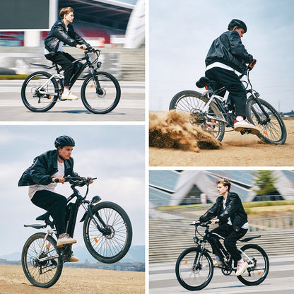 isinwheel M50 Mountain Ebike