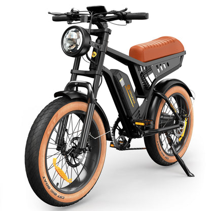 isinwheel R6 250W Off Road Retro Electric Bike