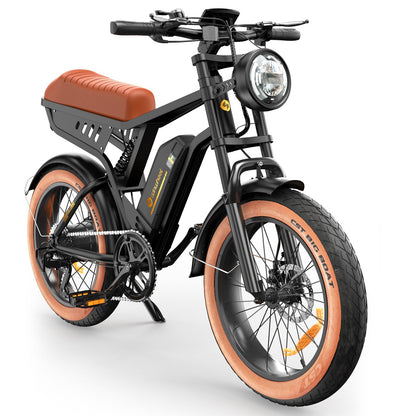 isinwheel R6 250W Off Road Retro Electric Bike