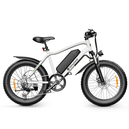 isinwheel M10Pro Electric Bike for Adults