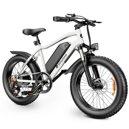 isinwheel M10Pro Electric Bike for Adults