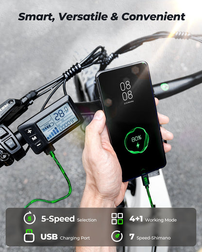 isinwheel U8 Plus Electric Bike for Adults