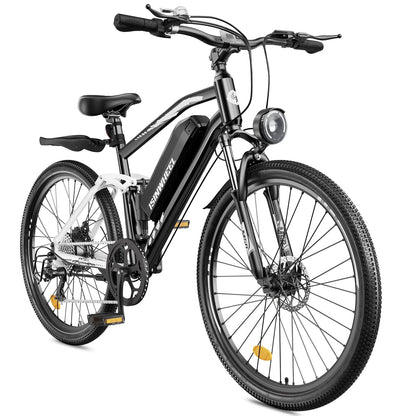 isinwheel M50 Mountain Ebike