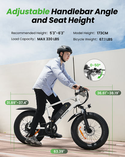 isinwheel M10Pro Electric Bike for Adults