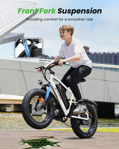 isinwheel M10Pro Electric Bike for Adults