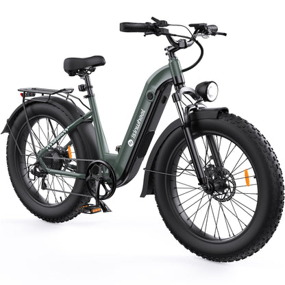 isinwheel U8 Plus Electric Bike for Adults