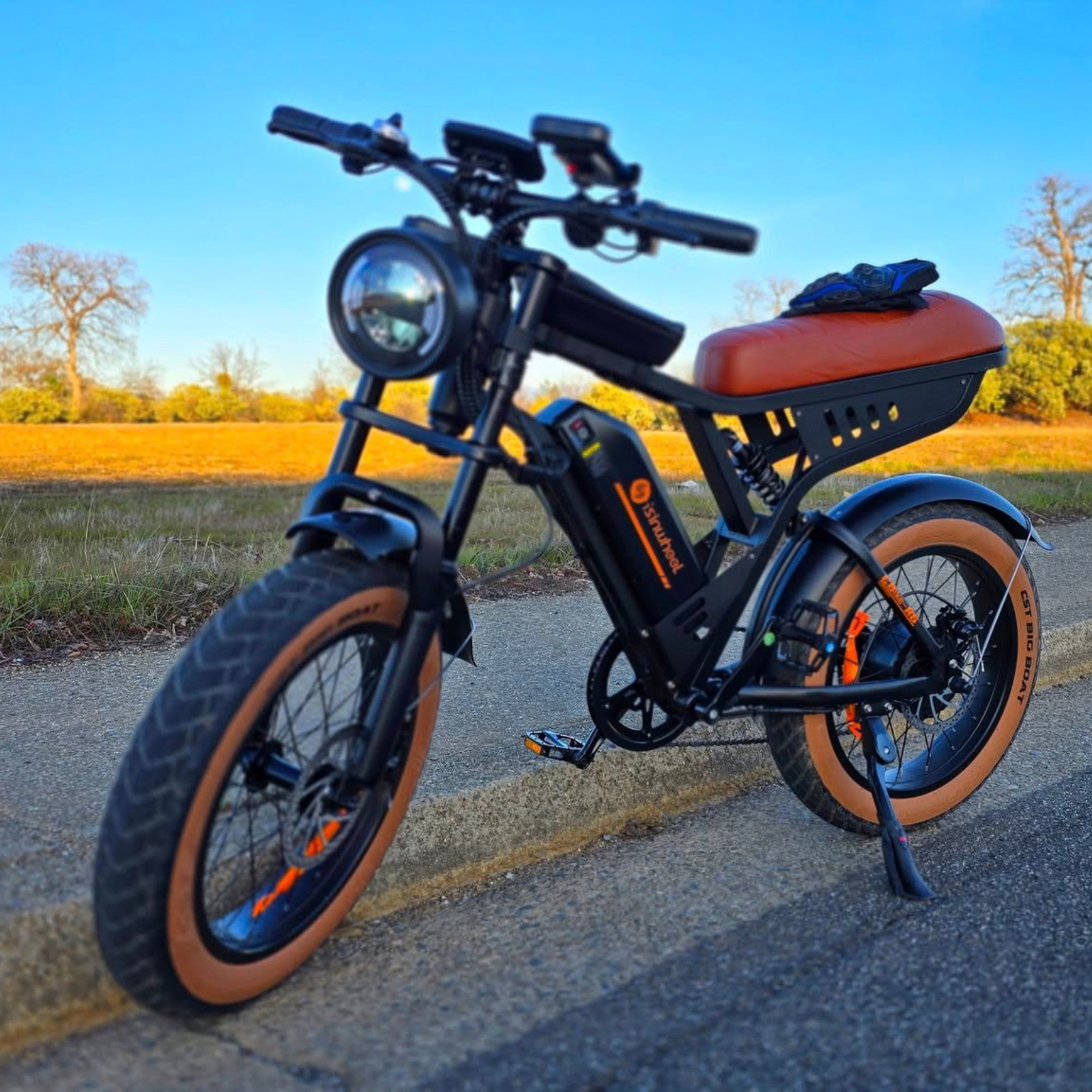 isinwheel R6 250W Off Road Retro Electric Bike